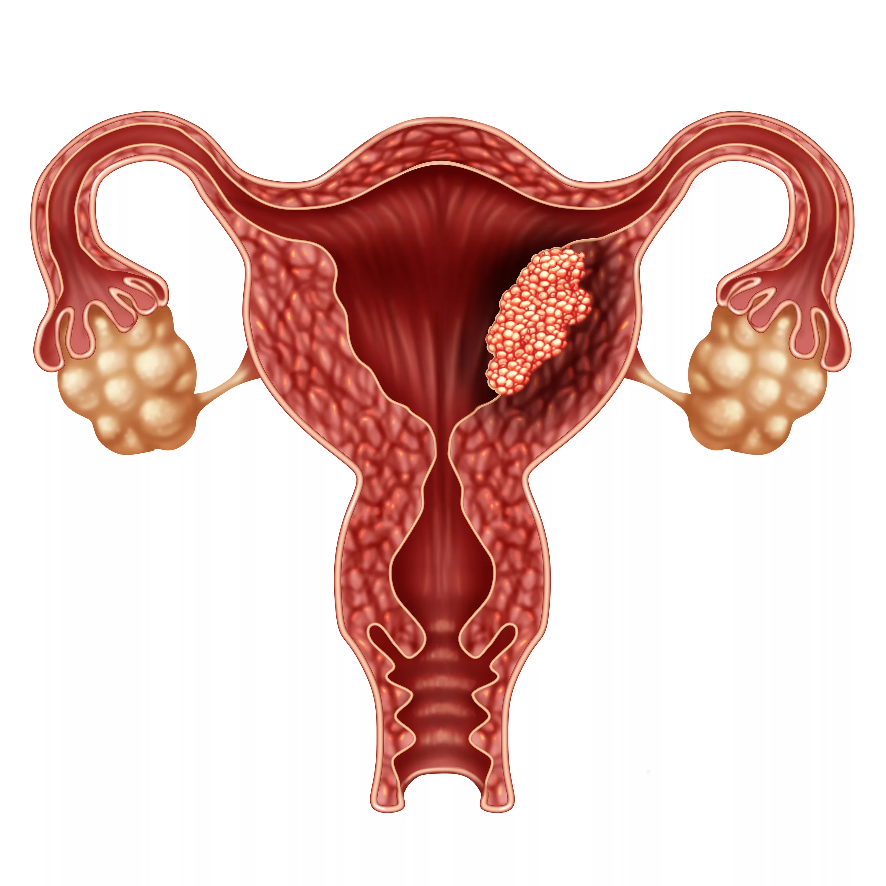 Вероника порно онлайн